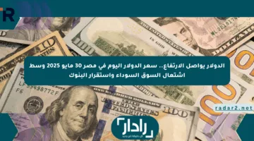 الدولار يواصل الارتفاع.. سعر الدولار اليوم في مصر 30 مايو 2025 وسط اشتعال السوق السوداء واستقرار البنوك